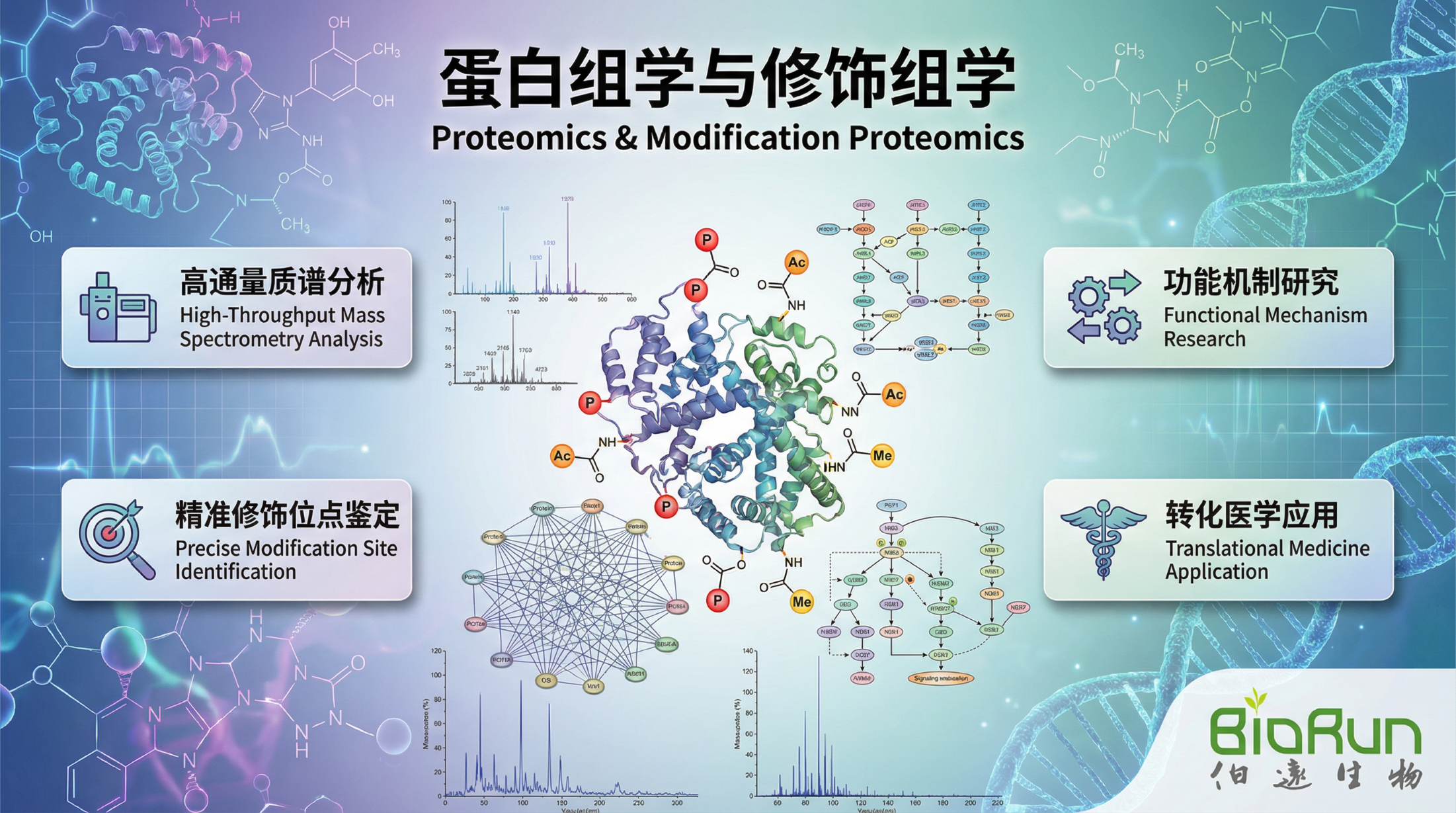 蛋白修饰 - 伯远生物