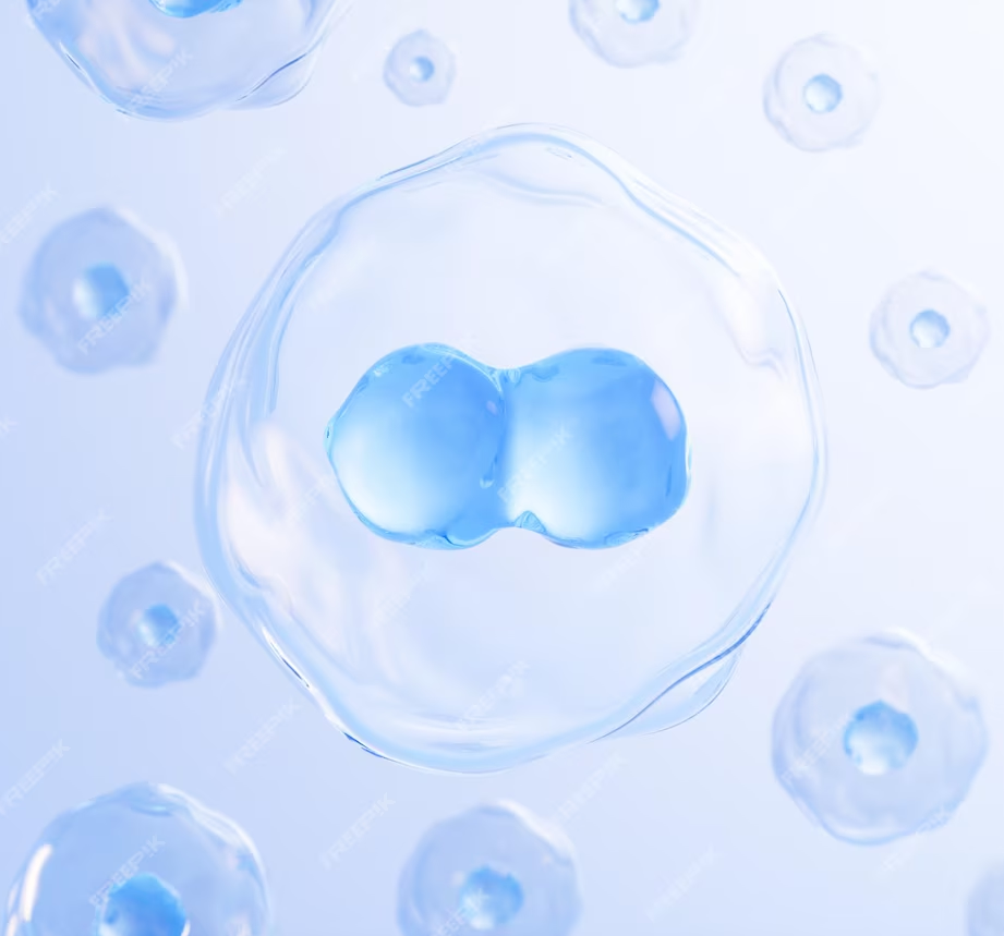 过表达细胞系的构建 - 伯远生物